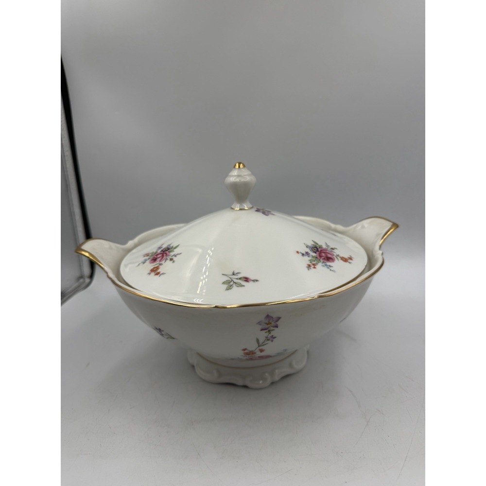 Vintage Bareuther Waldsasse Bavaria Germany Floral Serving Vegetable Tureen